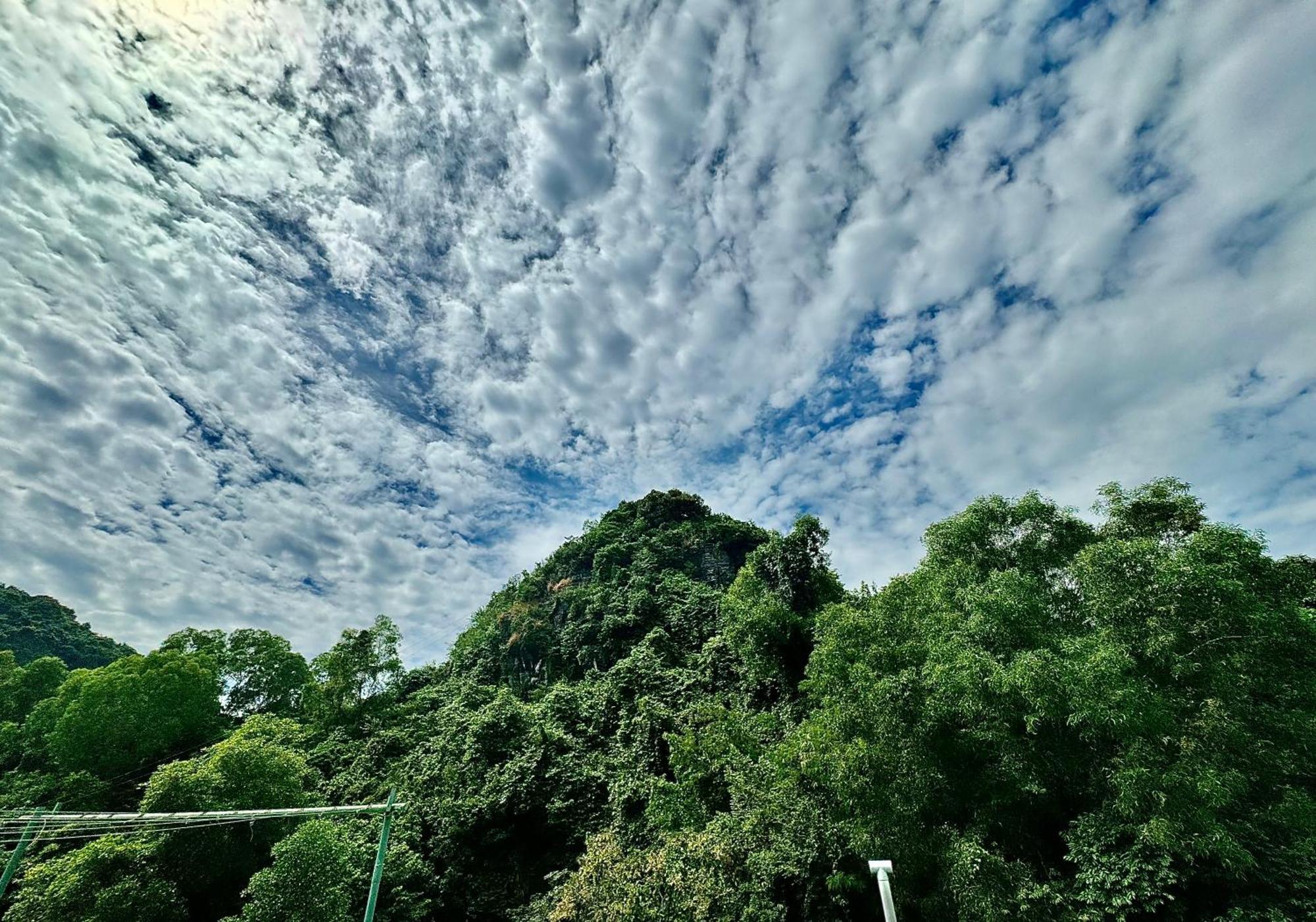 Sunflower Catba Hotel Dong Khe Sau Bagian luar foto